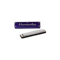 Metalen Mondharmonica in Doos - thumbnail