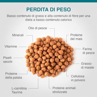 Specific Frd Weight Reduction 6kg - thumbnail