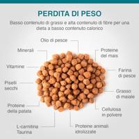 Specific Frd Weight Reduction 6kg - thumbnail