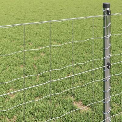 Euro Hek Zilver 1.2 x 25 m Warmverzinkt ijzer