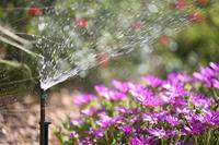 180 graden micro vernevellaar Hozelock - Hozelock - thumbnail