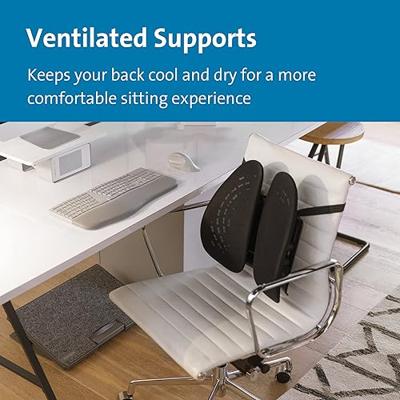 Kensington SmartFit rugsteun, zwart