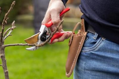 Snoeischaar titanium voorbijsnijdend met lederen holster 21 cm Talen Tools - Talentools