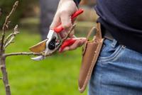 Snoeischaar titanium voorbijsnijdend met lederen holster 21 cm Talen Tools - Talentools - thumbnail