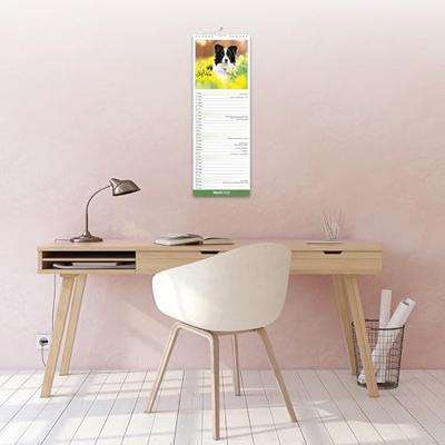 Border Collie Kalender 2026 Slimline Border Collie Kalender 2026 Slimline