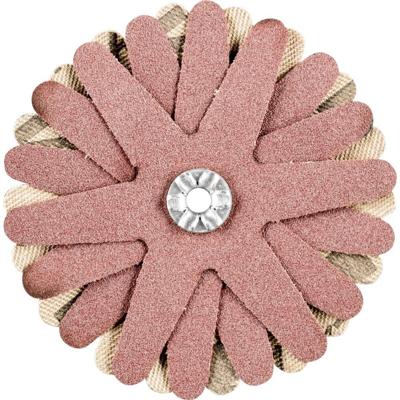 PFERD TOOLS 42732108 Schuurster Diameter 70 mm 10 stuk(s)