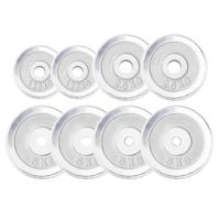 Halterschijven set 27,5 kg Chroom - thumbnail