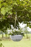 Hangschaal Nova 35 concrete - thumbnail