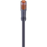 Lumberg Automation 44584-1 Sensor/actuator connector, geassembleerd M8 Aantal polen (sensoren): 4 Bus, recht 2.00 m 1 stuk(s) - thumbnail