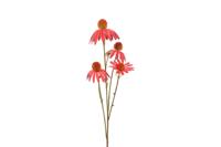Decostar Countryfield Kunstbloem Echinacea rood-L10B10H77CM - thumbnail