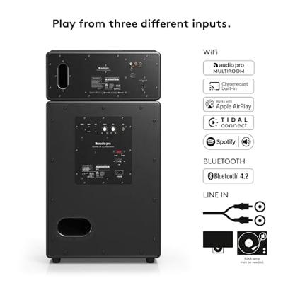 Audio Pro Drumfire II Smart Multiroom Wifi speaker Zwart