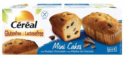 Cereal Mini Cakes Met Stukjes Chocolade