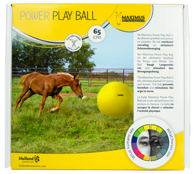 Maximus Power Play Ball 65cm