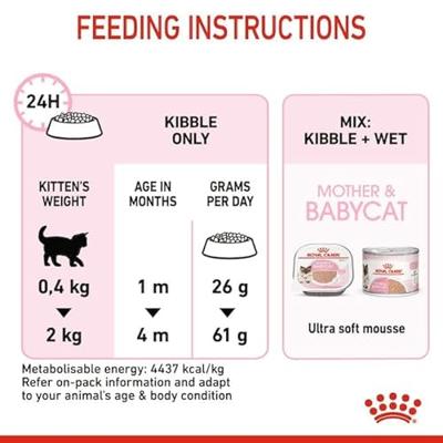 Royal Canin Mother & Babycat 34 droogvoer voor kat 0,4 kg