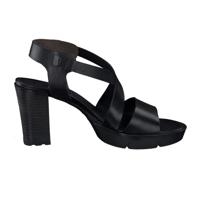 Paul Green 7924 - alle - thumbnail