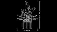 LEGO BOTANICALS 11504 Vredeslelie - thumbnail