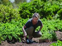 Fiskars Plantschepje premium breed - 1000726 - 1000726 - thumbnail