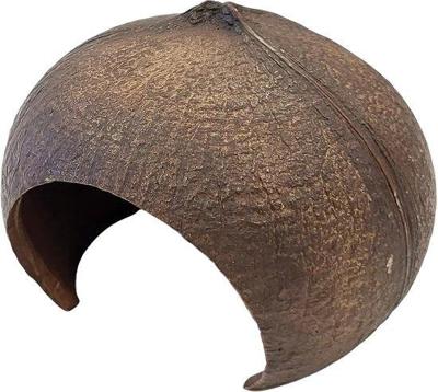 Deco coconut Repto - Repto Deco coconut Repto - Repto