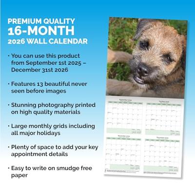 Border Terrier Kalender 2026