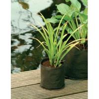 Waterplantzak rond 15 cm - thumbnail