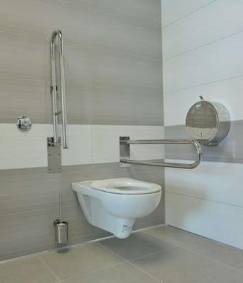 Toiletbeugel Sapho Opklapbaar 60x15.3 cm RVS