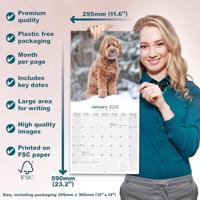 Labradoodle Kalender 2026 - thumbnail
