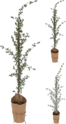 Xmas Tree 90 cm 2ass Finish kerst Nampook - Nampook Xmas Tree 90 cm 2ass Finish kerst Nampook - Nampook