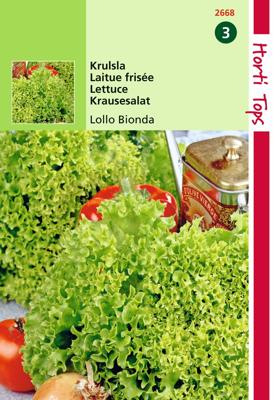 Zaden Krulsla Lollo Bionda Hortitops - Hortitops Zaden Krulsla Lollo Bionda Hortitops - Hortitops