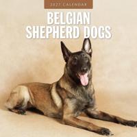 Belgische Herder Kalender 2027 - thumbnail