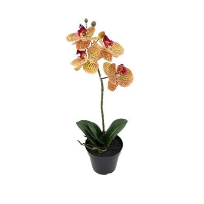 Phalaenopsis Orchidee in pot x1 50 cm Tiger Yellow kunstplant Buitengewoon de Boet - Buitengewoon de boet