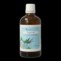 Balancepharma Arnica montana tincturen 100 Milliliter - thumbnail