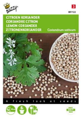 Koriander, Citroen laag Koriander, Citroen laag