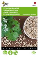 Koriander, Citroen laag - thumbnail