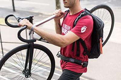 Hiplok lite chain lock