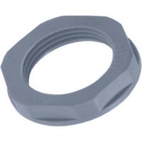 LAPP 53019081 SKINTOP GMP-GL PG 42 RAL 7035 GY PG42 Polyamide Grijs-wit (RAL 7035) 25 stuk(s) - thumbnail