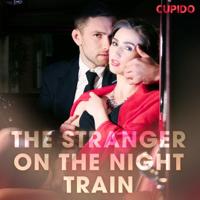 The Stranger on the Night Train - thumbnail