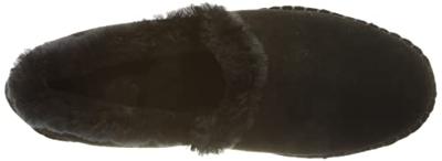 Ara 1529958 - alle Ara 1529958 - alle