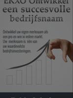 EKXO Ontwikkel een succesvolle bedrijfsnaam - D.M. Scholtus - ebook - thumbnail