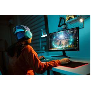 Philips Evnia 27M2N3500NL/00 27 Quad HD 180Hz VA Monitor