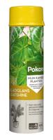 Bladglans 600 ml Pokon - Pokon - thumbnail