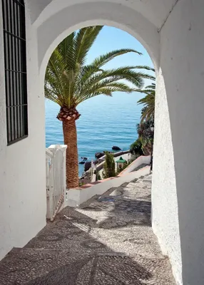 Alexsar Art Tuinschilderij palm boog 70x50cm