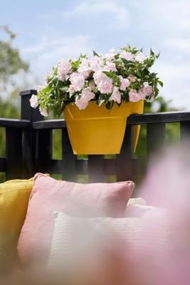 Elho Vibia Campana flower bridge 40 cm honinggeel - thumbnail