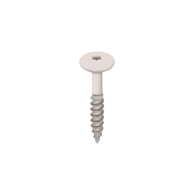 Torx schroef RVS 32 mm 100st Crème - Keralit (2890)