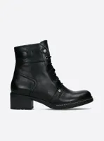 Red Deer CW - thumbnail