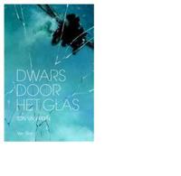 Dwars door het glas - Ton van Reen - ebook - thumbnail