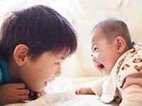 Olympus M.Zuiko Digital ED 25mm f/1.8 - Zilver - thumbnail