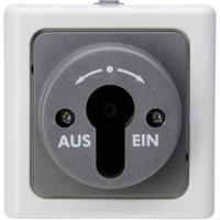 Kopp 561756017 BlueElectric Compleet Sleutelschakelaar spatwaterdicht Grijs 1 stuks 1 stuk(s) - thumbnail