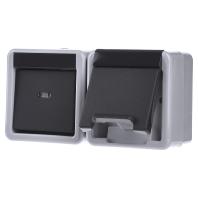 Gira wisselschakelaar en wandcontactdoos randaarde grijs - thumbnail