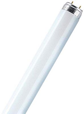 Osram L 15 W/830 fluorescente lamp G13 Warm wit B Osram L 15 W/830 fluorescente lamp G13 Warm wit B