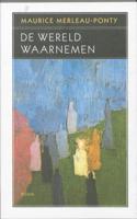 De wereld waarnemen (Paperback) - thumbnail